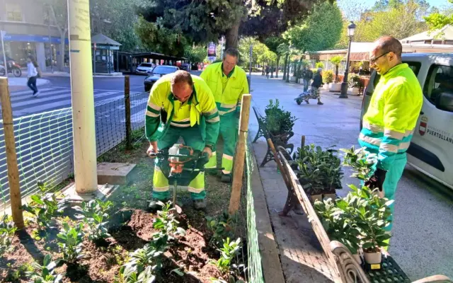 Trabajos de mantenimiento en una zona verde de Puertollano
