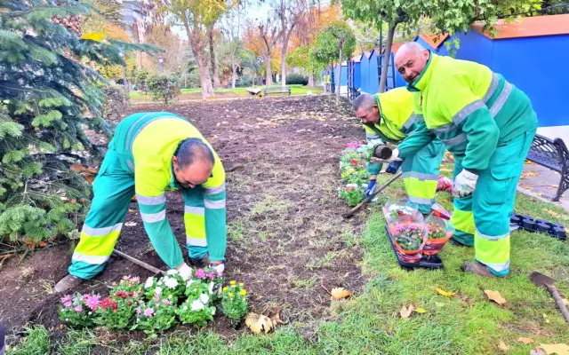 Plantas y zona verde municipal en Puertollano
